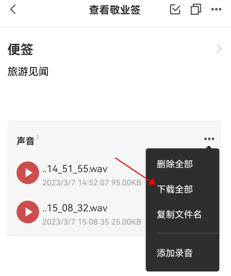 语音备忘录的音频怎么导出