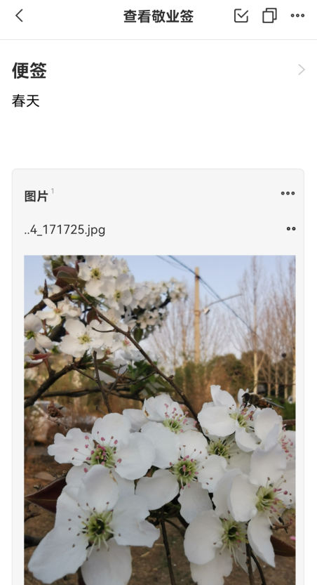 记事软件app哪个好用
