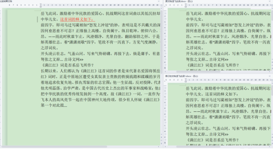 WPS文档